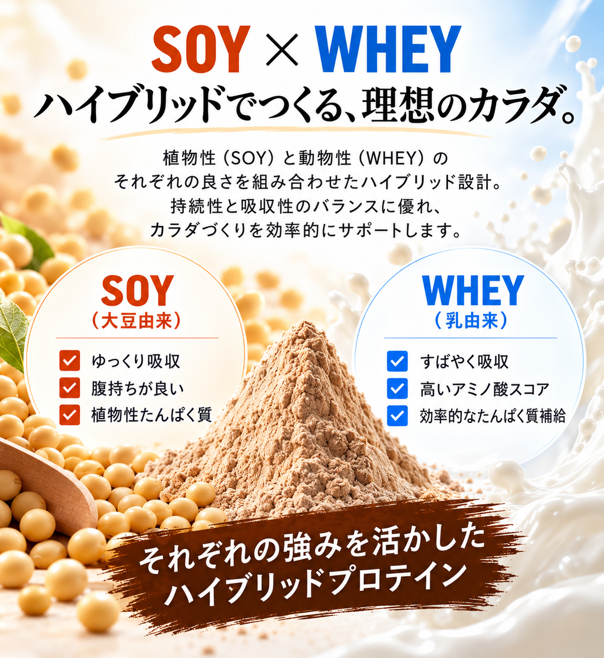 FORWARD FOCUS HYBRID PROTEIN｜チョコレート風味｜1kg（約40回分）