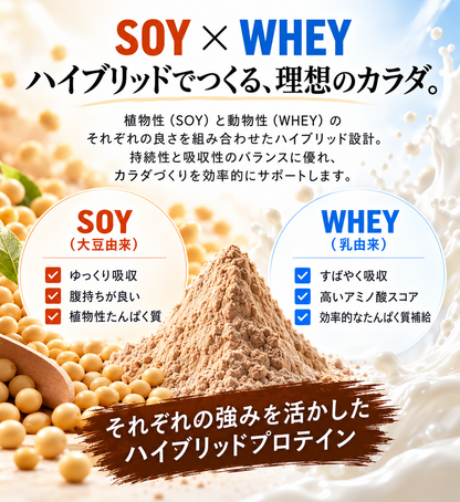 FORWARD FOCUS HYBRID PROTEIN｜チョコレート風味｜1kg（約40回分）